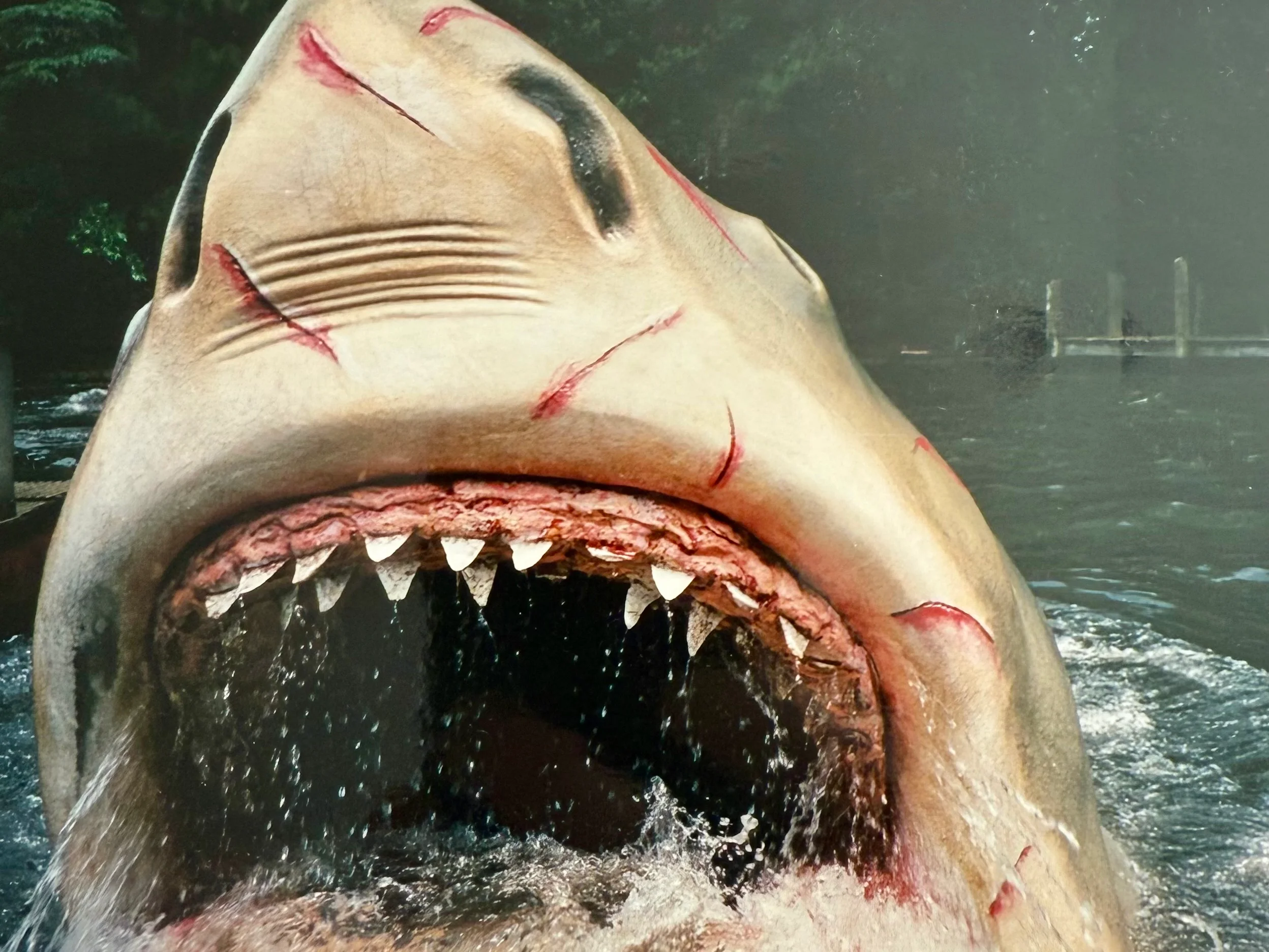 Jaws