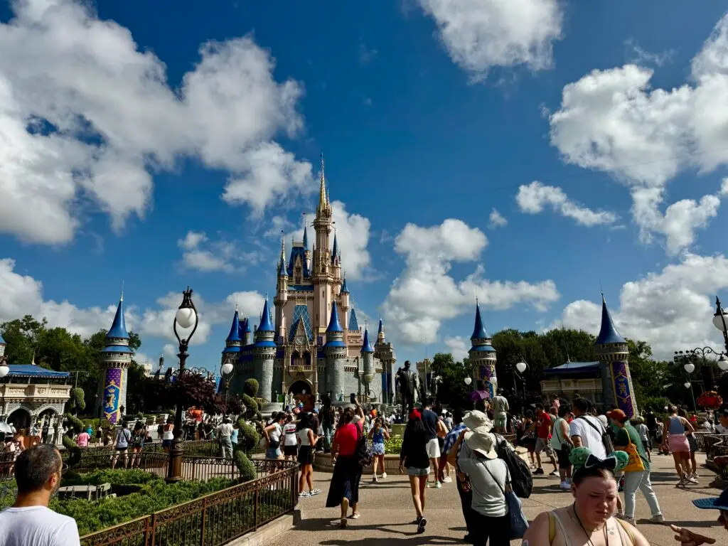 Magic kingdom castle