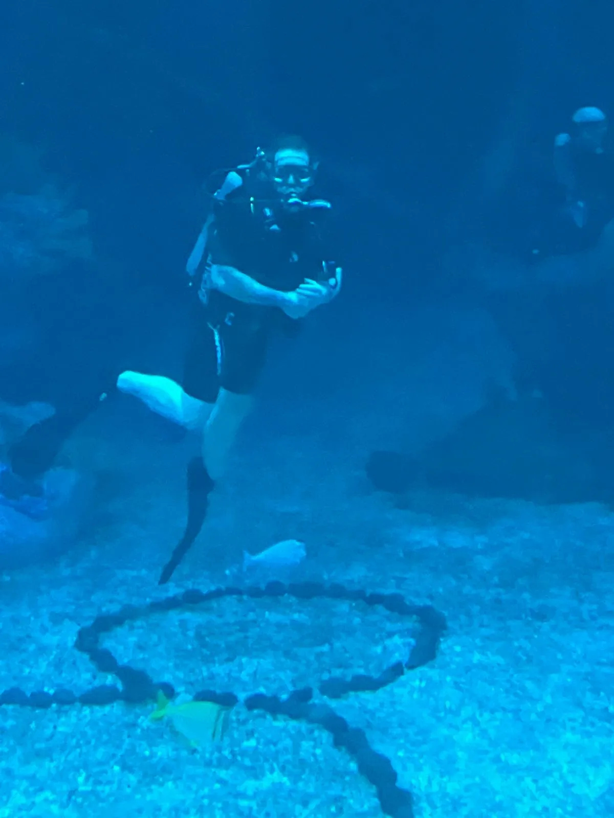 Divequest 4
