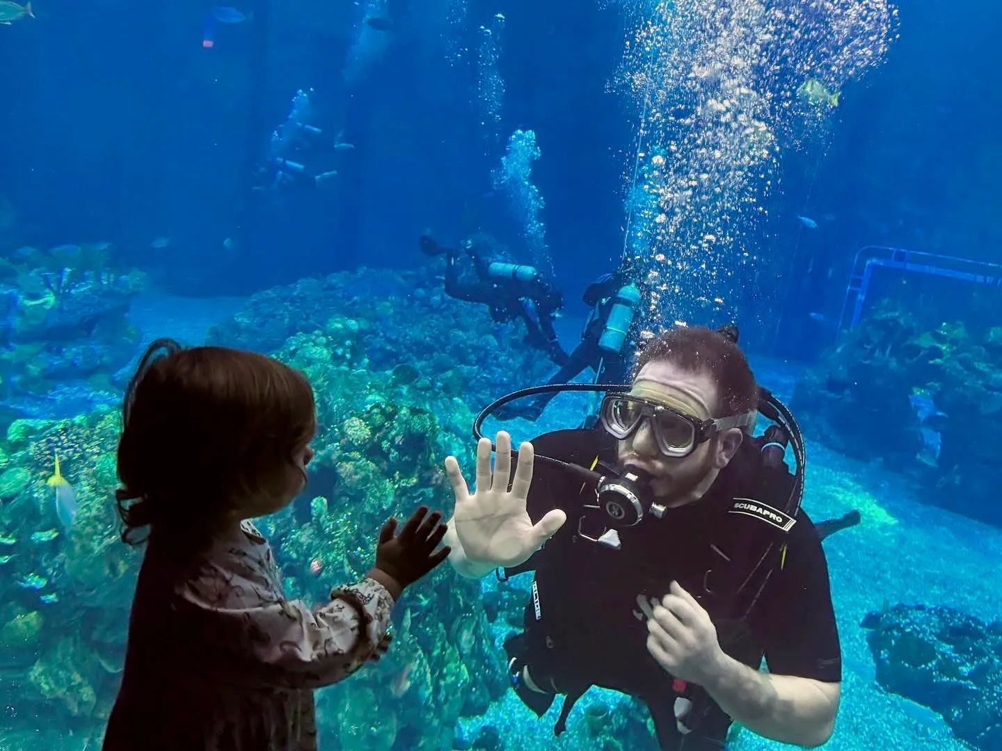Epcot divequest 2