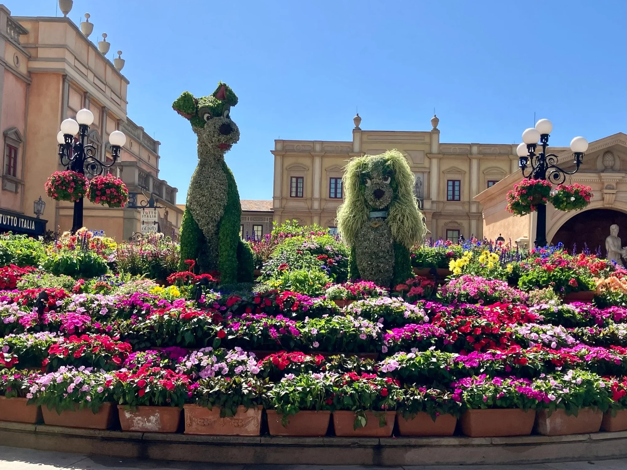 Flower and garden 2025 lady and tramp