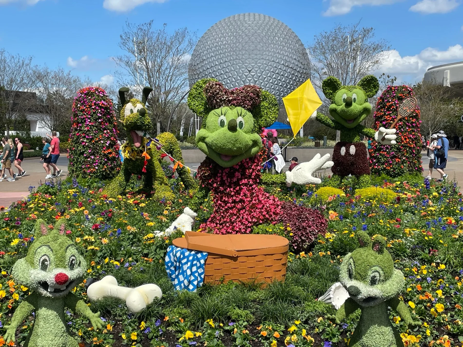 Flower and garden 25 minnie