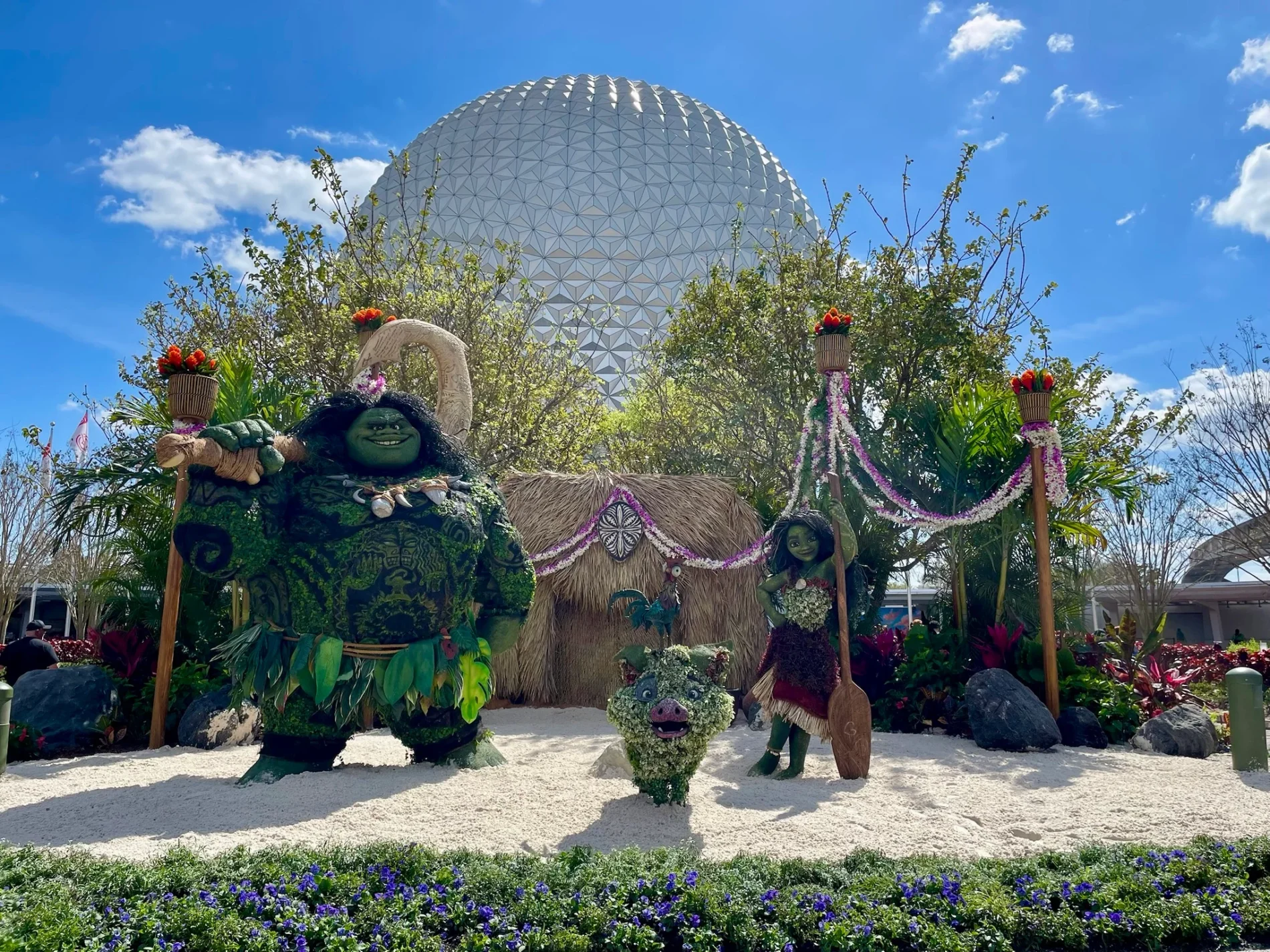 Flower and garden moana