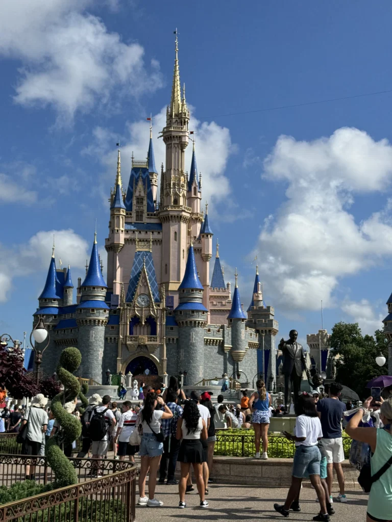 Magic kingdom portrait