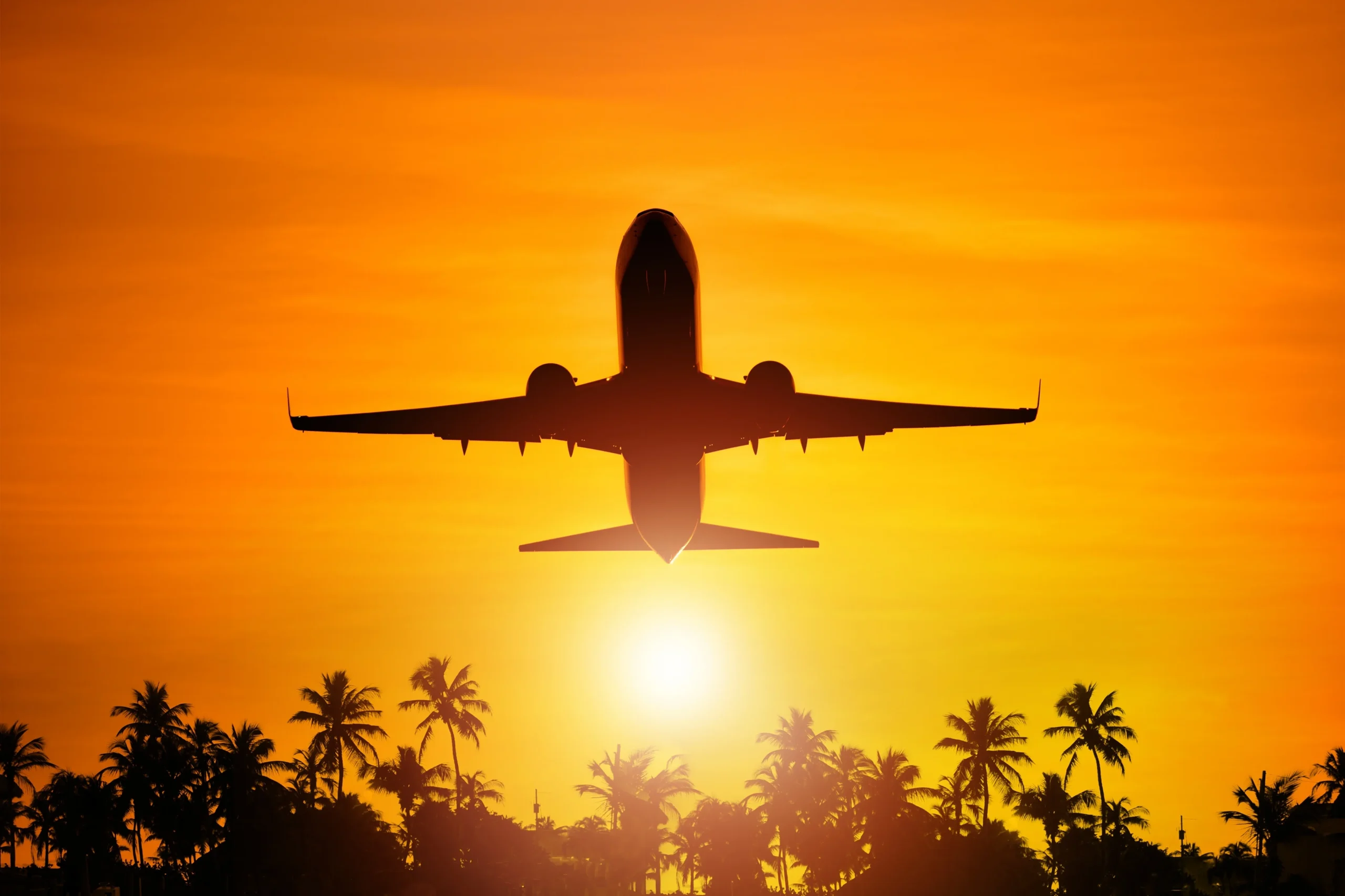 Plane sunset