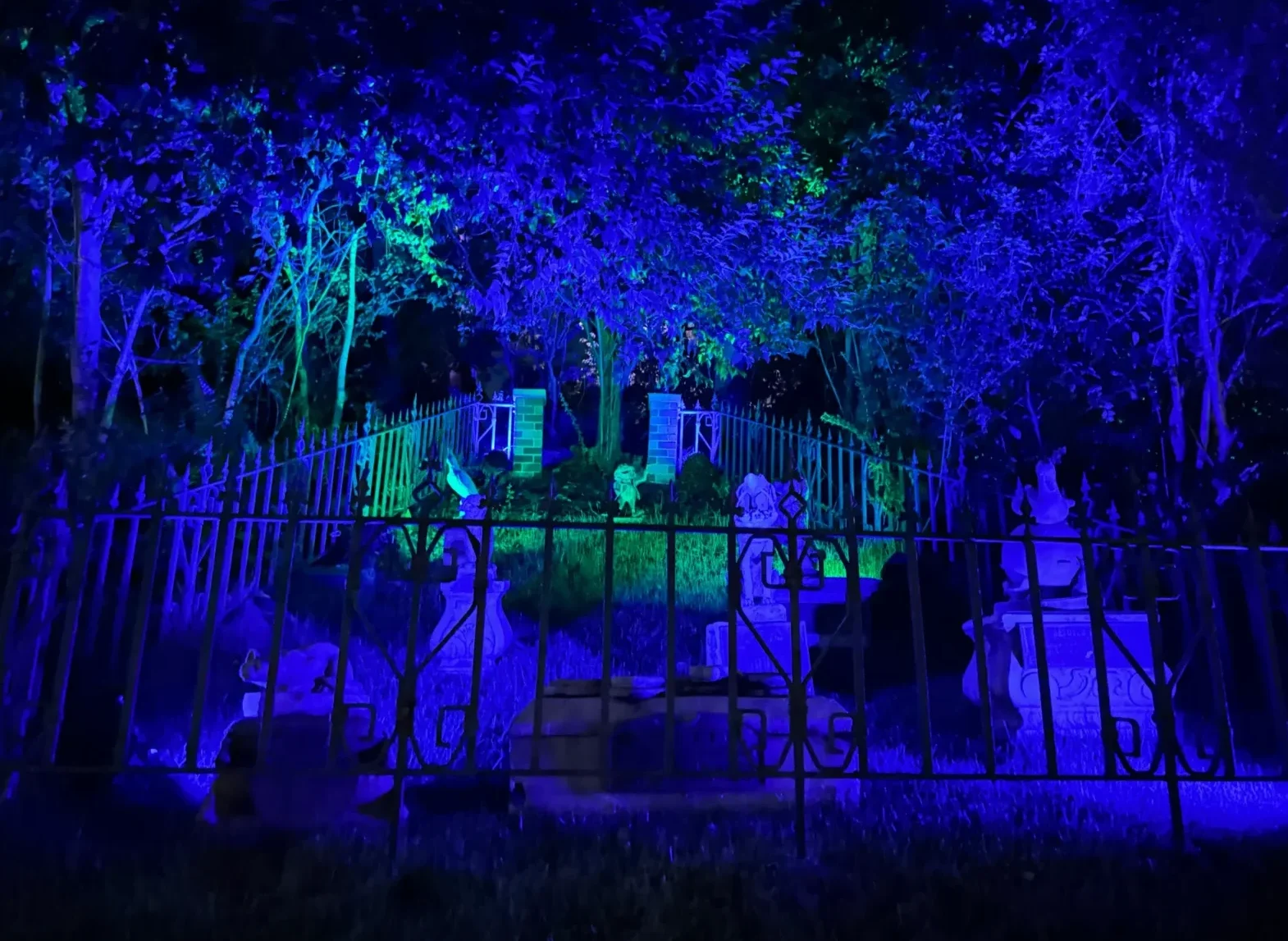 Pet Cemetery Mt Toad Haunted Mansion