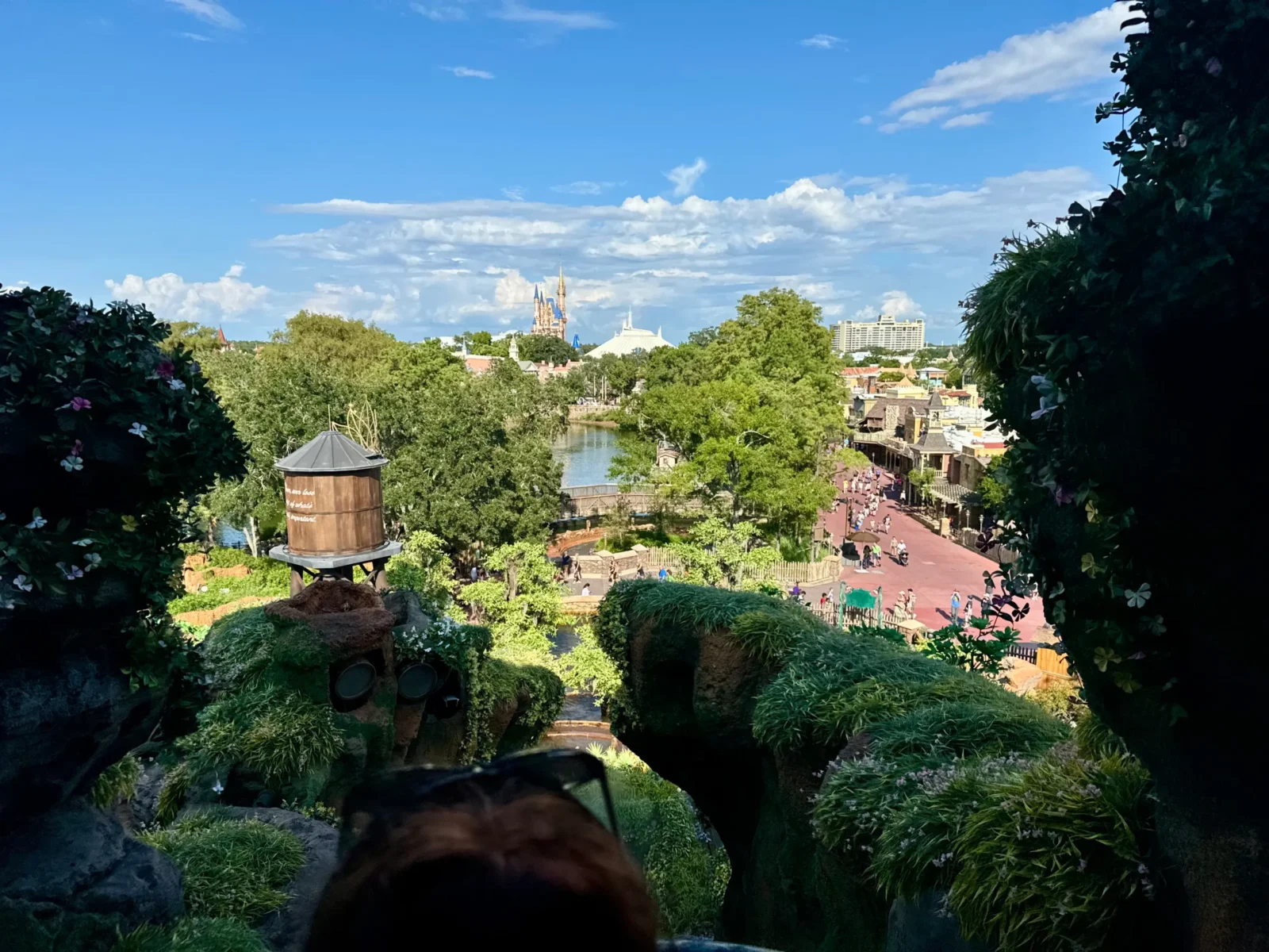 View of Magic Kingdom