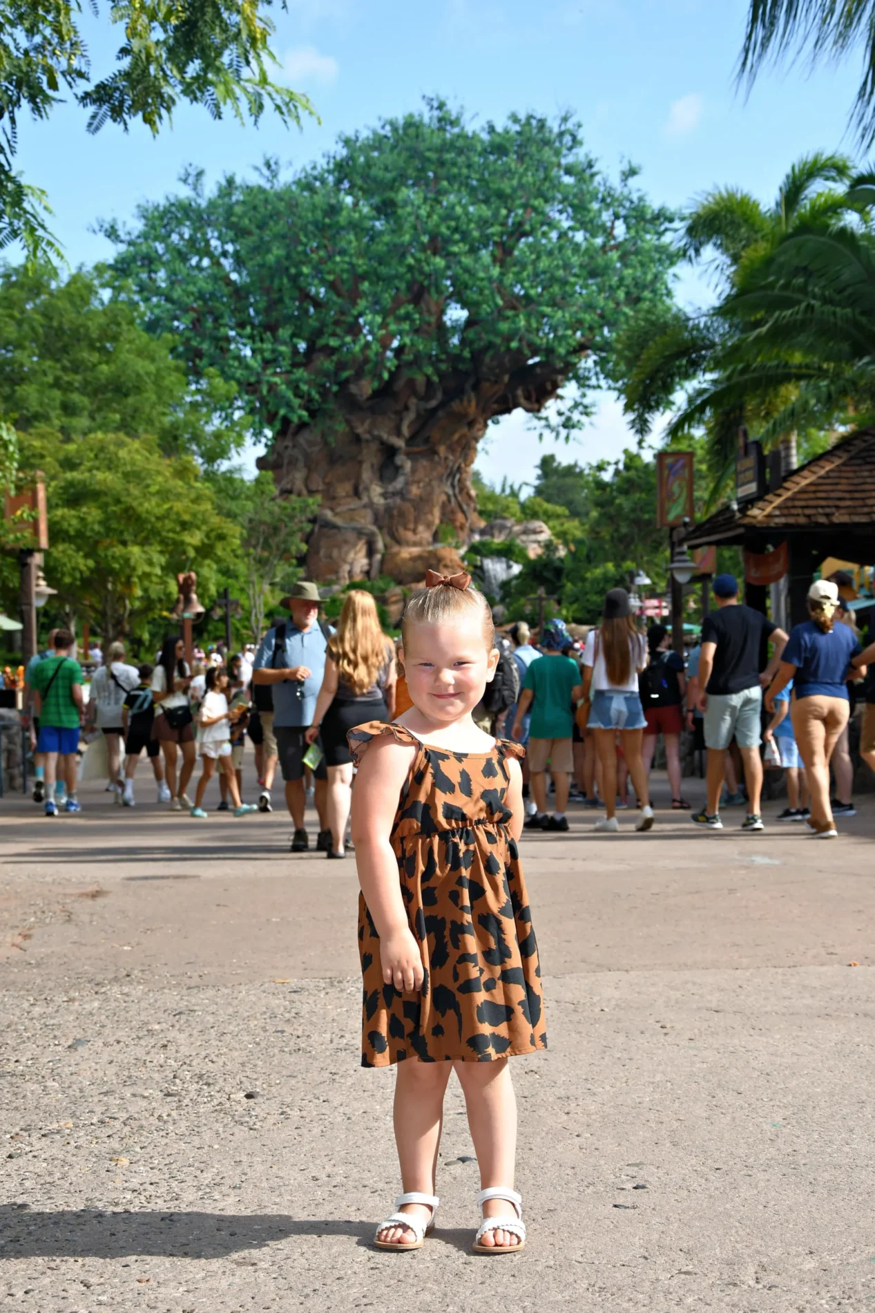 Animal Kingdom Tree of Life