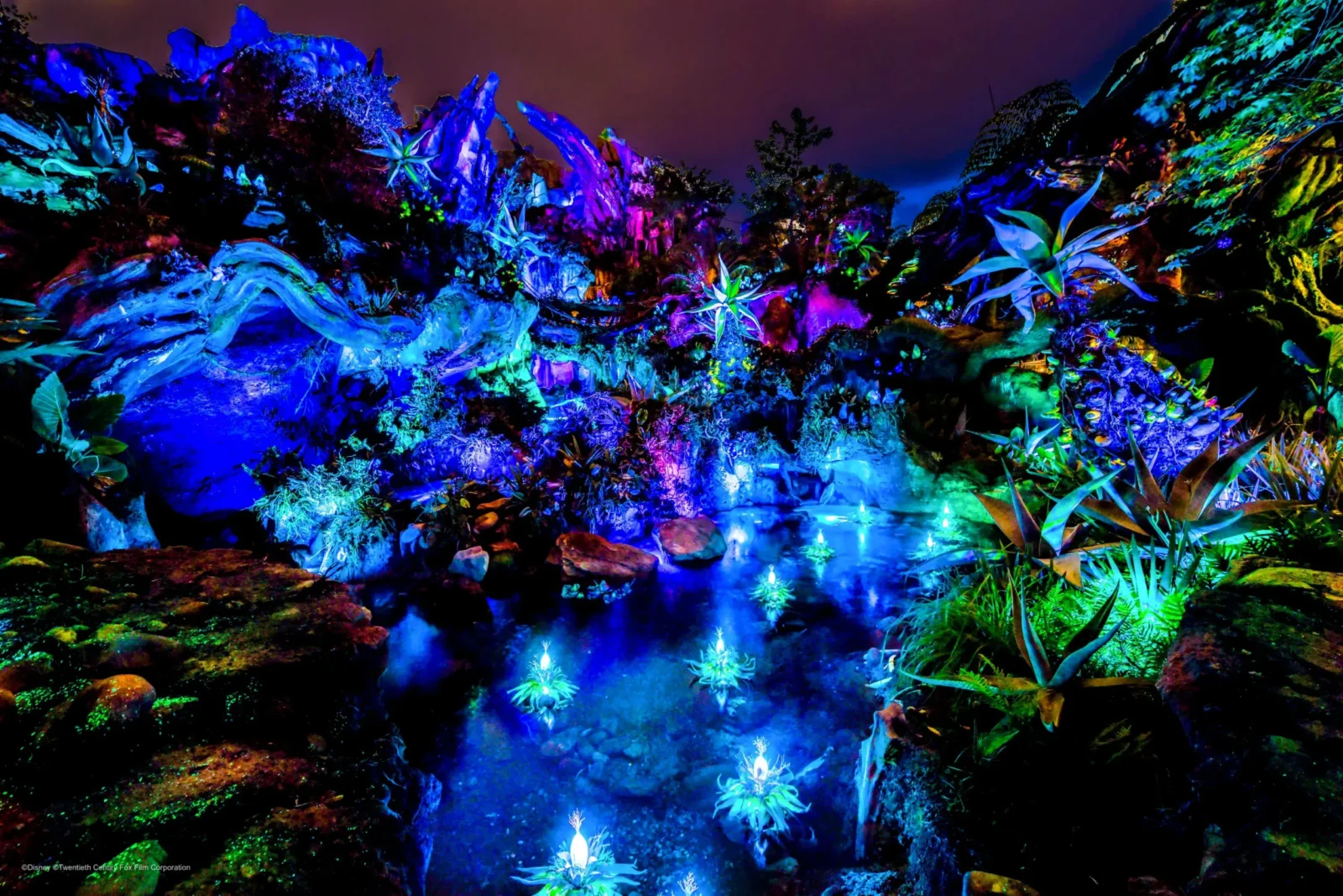 Flight of Passage, Avatar at Animal Kingdom