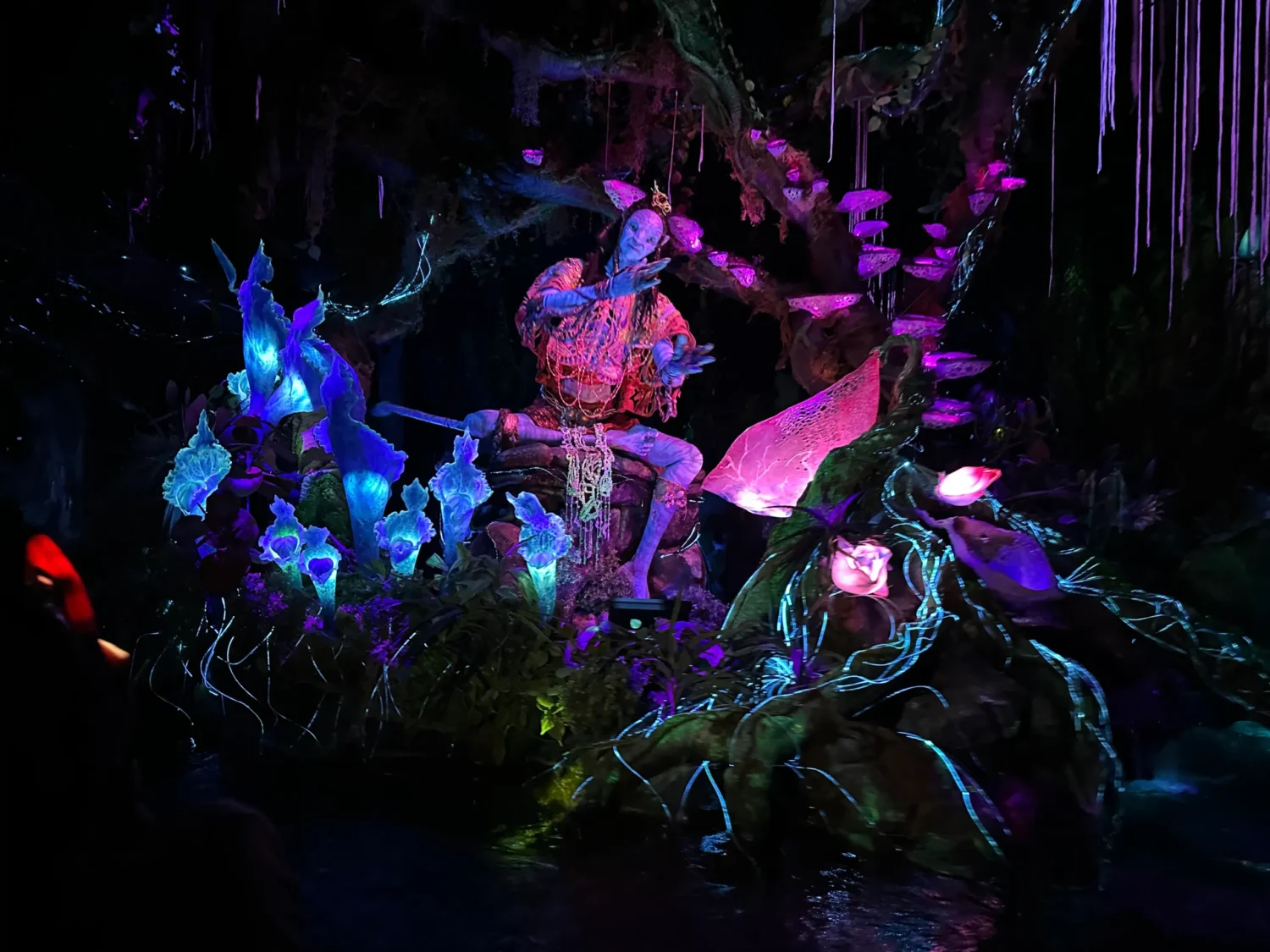 Na’vi River Journey