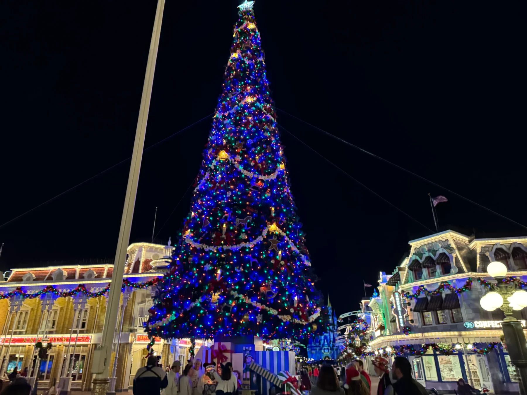 Magic Kingdom, Disney Christmas at night