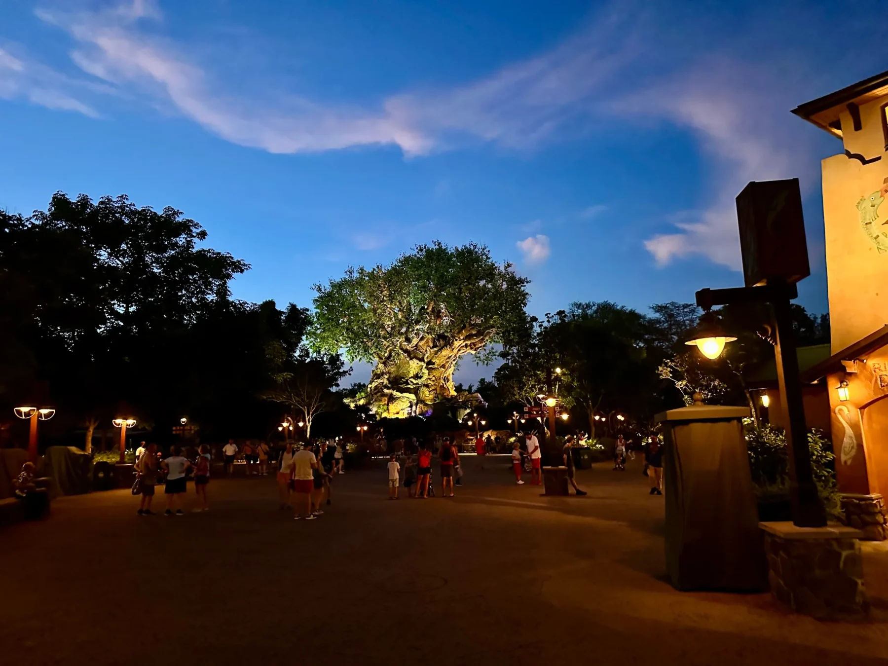 Animal Kingdom Tree of life