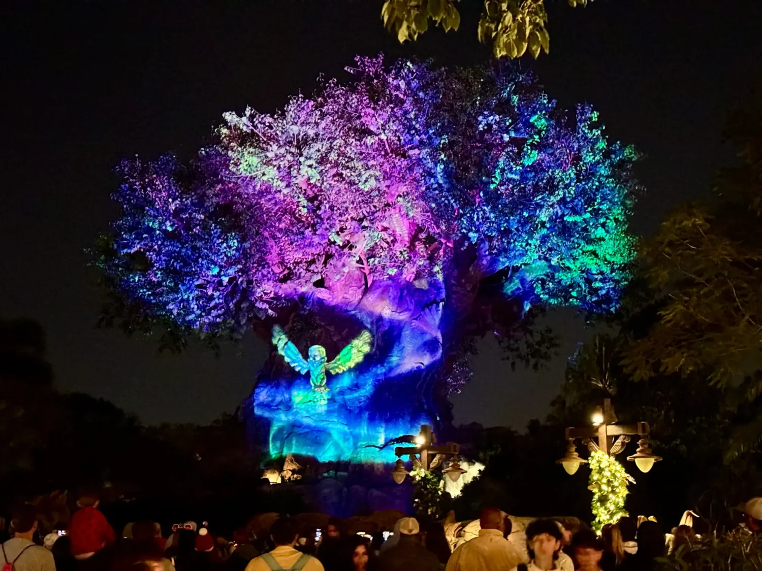 Tree of Life Awakening Disney Animal Kingdom